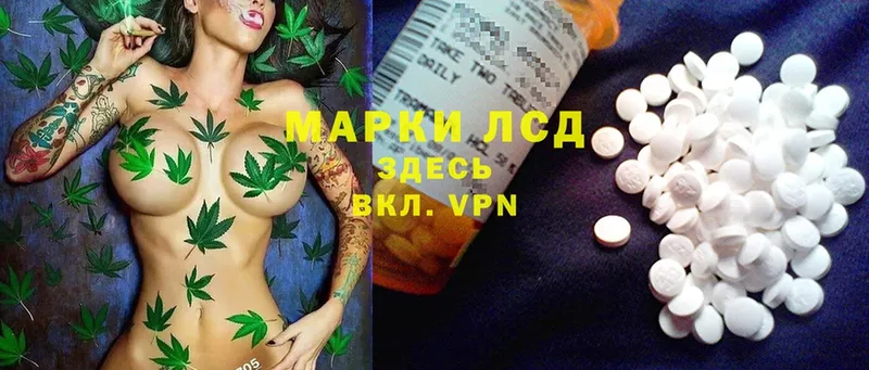 MEGA как зайти  Елизово  LSD-25 экстази кислота 