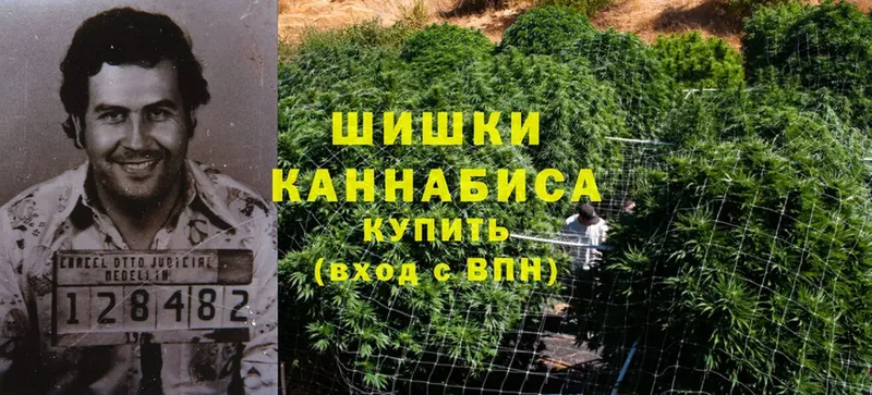 Марихуана LSD WEED  где купить   Елизово 